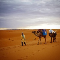 #desert #morocco #maroc #travel #sahara #africa #sand #sanddunes #dunes #chamel #landscape  #nature #trekking #trek #pentaxk30